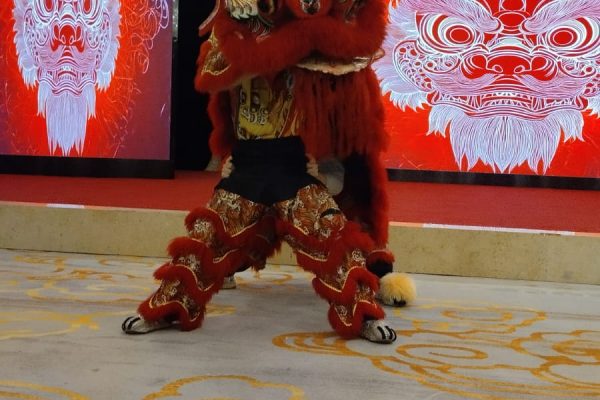 florida-grup-educatiu-china-3